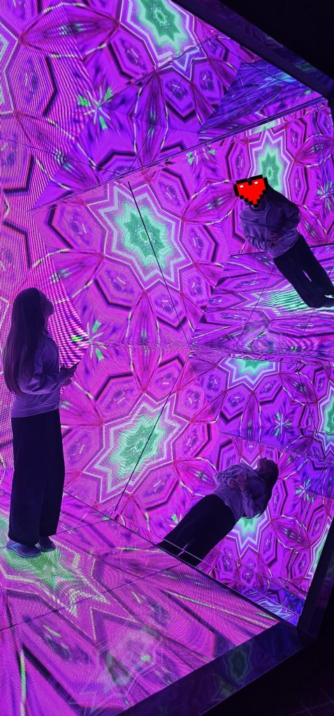 Wycieczka do Muzeum Paradoksu