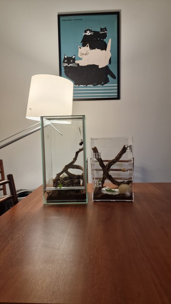 Nowi mieszkańcy naszej szkoły!