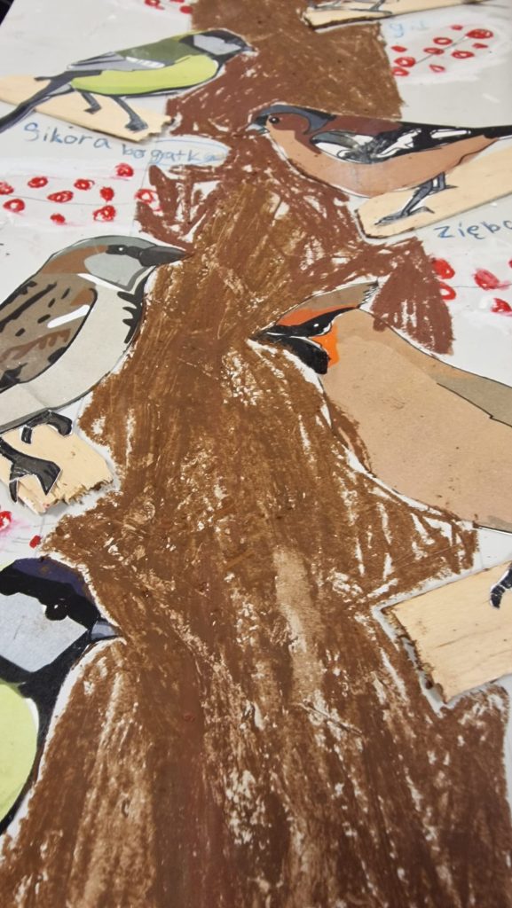 Ptaki zimą – nauka przez obserwację i działanie